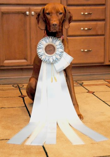 maddyselect light correct